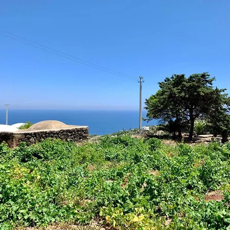 Il Vigneto Sul Mare * Tracino
