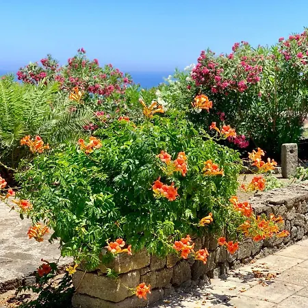 別荘 Il Vigneto Sul Mare
