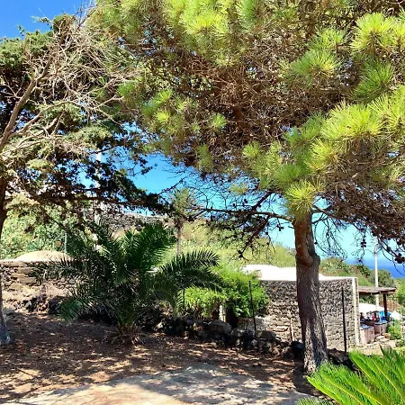 Il Vigneto Sul Mare